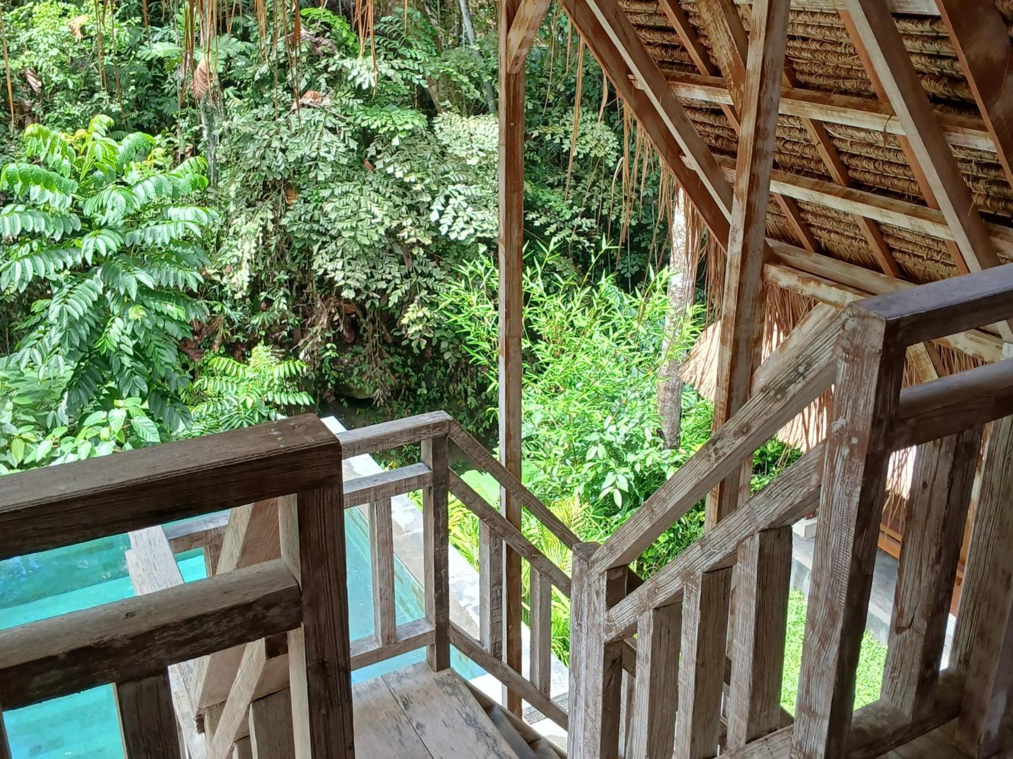 House Of Bima *
